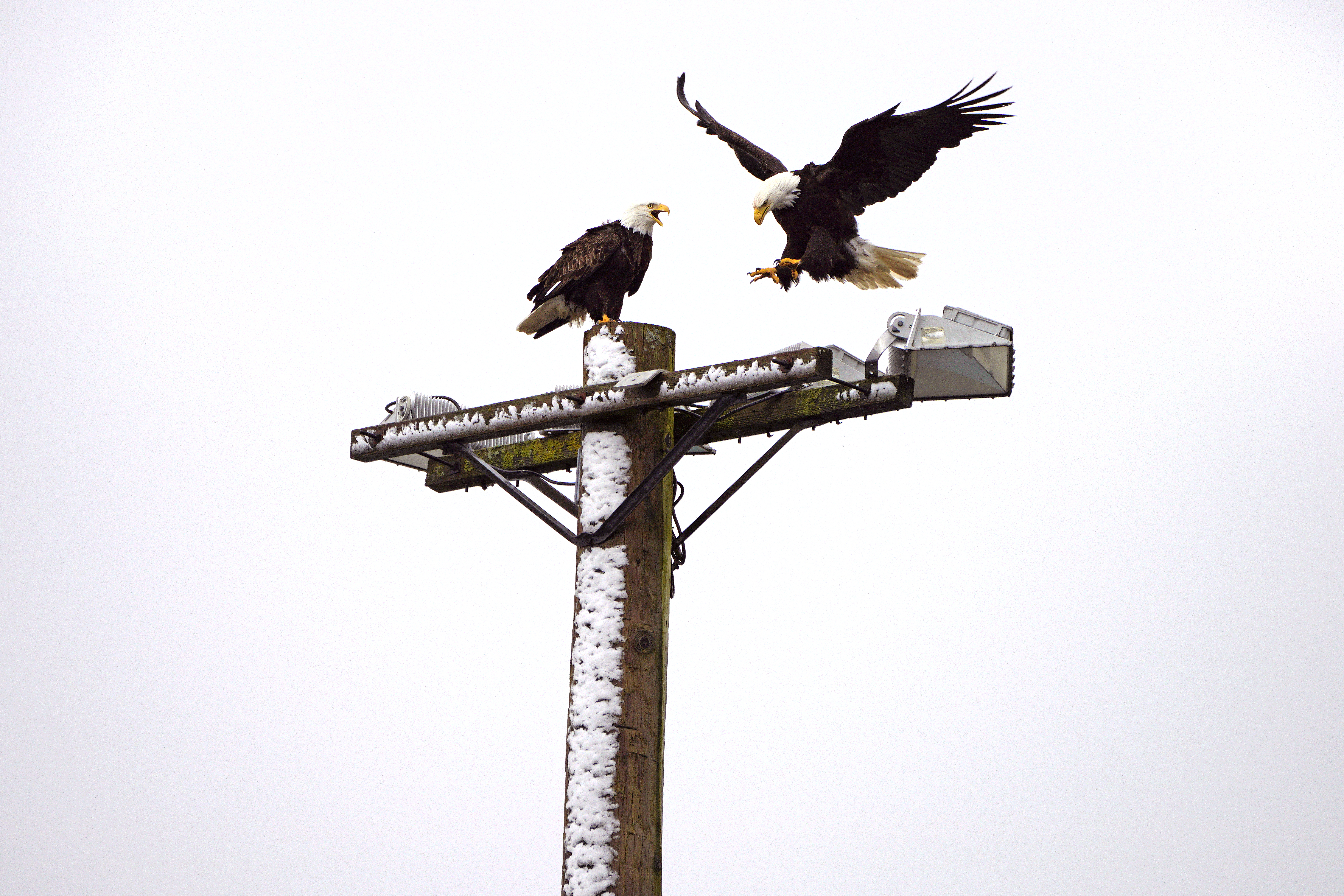 Eagles 031922 01